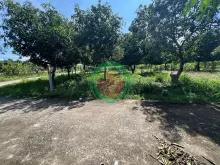 Đất thổ cư Suối Tiên - Diên Khánh ( nay là Suối Hiệp)  - Dt 68m ngang 5,5m