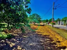 950 Triệu Có Đất + Vườn Bưởi Thu Hoạch – Hiếm Khó Tìm Khu Trừ Văn Thố