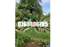 CHÍNH CHỦ cần bán nhanh lô đất mặt tiền đường Y Jút, Buôn Ma Thuột. 135 tỷ. 0769406785