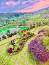 ĐẤT BẢO LỘC, ĐẦU TƯ SINH LỜI DÀI HẠN, NHIỀU TIỆN ÍCH GIÁ RẺ CHỈ TỪ 1 TỶ 2