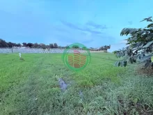 Giá RẺ QUÁ 500m2 đường container chạy vi vu gần QL 22 Củ Chi ngang 16.5m tiện xây BT vườn nhỉnh 5 tỷ.