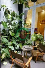 PHÚ NHUẬN nhà 3 TẦNG BTCT - 5 PHÚT QUA Q1- 50m RA MẶT TIỀN PHAN ĐÌNH PHÙNG - 9,850 TỶ TL