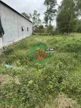 Bán đất tại Phú Gia, Xã Phú Vang, Thành Phố Huế DT: 100 m2 SHR: 620tr. LH:0906529275