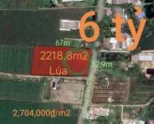 Bán hạ giá lô đất lúa làm kho xưởng gần Quốc Lộ 50B giá 6 tỷ