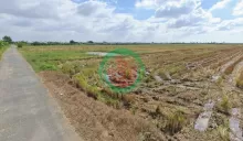 840tr đất mặt tiền đường nhựa 3m tại Bình Ân