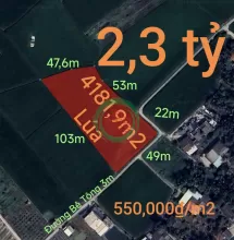 Bán gấp lô đất lúa hai mặt tiền hạ giá 550 triệu.công