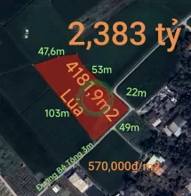 Bán gấp lô đất lúa hai mặt tiền hạ giá 570 triệu.công