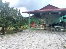 Bán mảnh đất 2541m2 có nhà cấp 4 ngay UBND Tân Hiệp .Giá 650triệu