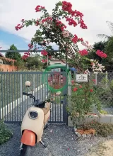 Chính chủ bán nhà vườn giá tốt 1,65 tỷ Vào hẻm Đỗ Đăng Tuyền, An Nhơn Tây, Củ Chi