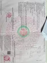 Đất Đẹp - Giá Tốt Bán nhanh Lô Đất Chính Chủ Tại Phường Bình Trị Đông, Bình Tân, HCM