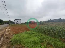 Đất tái định cư Đồng Doi – điểm sáng đầu tư gần ĐHQG Hà Nội