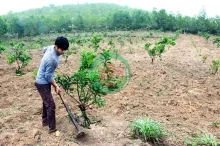 Bán Đất Vườn 9664m2 Sân Bay Long Thành Xã Xuân Đường, Huyện Cẩm Mỹ, Đồng Nai