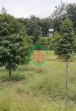 BÁN VƯỜN MÍT TẠI ĐỒNG NAI MỚI DT 5.891M2 SHR CHỈ 50TR/1000M2. LH:0869560747