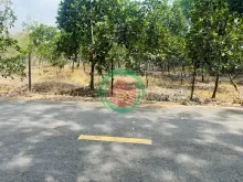 Bán Vườn Mít tại TP HCM Mới, diện tích 280m2 thổ cư, chỉ 480 triệu, Đường Nhựa 10m