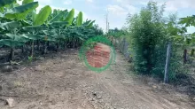 Cần Bán gấp đất 2000m2 Xã Thanh Sơn H.ĐQ, T.Đồng Nai 325 triệu
