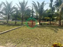 CHỈ HƠN 300TR – SỞ HỮU NGAY ĐẤT TRUNG TÂM BA HÀNG ĐỒI | SỔ RIÊNG – SINH LỜI NHANH