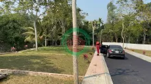 Hơn 300 triệu – đất trung tâm Ba Hàng Đồi, sổ sẵn