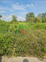 BÁN 3475M2 ĐẤT SẴN 845M2 THỔ - TẠI CHÂU THÀNH. LONG AN CŨ. LH:0773012099.