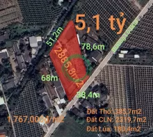 Bán đất thổ vườn đường Lộ Dừa giá 5,1 tỷ