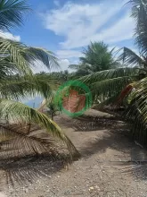 BÁN ĐẤT XÃ BÌNH LỢI - BÌNH CHÁNH, 10.387M2 SẴN 2 SỔ HỒNG CHỈ 2 TỶ/1000M2. LH:0978435476.