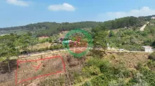 BÁN NHANH LÔ ĐẤT XUÂN TRƯỜNG - CẦU ĐẤT, ĐÀ LẠT - 1000M2 - 2TỶ200TRIỆU