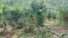 BÁN NHANH LÔ ĐẤT XUÂN TRƯỜNG - CẦU ĐẤT, ĐÀ LẠT