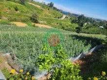 Cần Bán đất xã Ninh Gia, huyện Đức Trọng, tỉnh Lâm Đồng