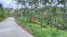 CẦN BÁN GẤP ĐẤT XUÂN THỌ – ĐÀ LẠT