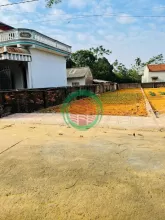 Cần tiền bán lô đất đẹp Miễu, Tiễn Xuân giá rẻ 83m nhỉnh 3tỷ đường 3 ôtô thông rộng tứ phía
