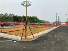 CHÁY HÀNG KHU ĐẤT CẠNH TRƯỜNG ĐH VÀ QUỐC LỘ 80M