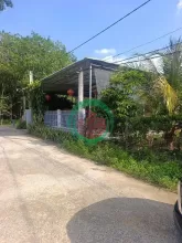 Chính chủ cần bán gấp lô đất đẹp 250m2 - 100m2 thổ cư giá chỉ 250 triệu