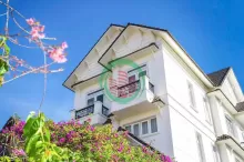 Cho thuê villa đường Ngô Tất Tố phường 8 Đà Lạt 40 triệu/tháng