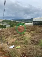 CHỦ GỬI BÁN LÔ ĐẤT XUÂN THỌ - NAY THUỘC PHƯỜNG XUÂN TRƯỜNG, ĐÀ LẠT