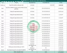 MUA NGAY TẠI THỜI ĐIỂM BẮT ĐẦU TĂNG GIÁ – ĐỪNG ĐỢI GIÁ TĂNG RỒI MỚI QUAN TÂM