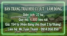 Siêu Trang Trại Heo 22ha - Thu Nhập cho thuê 24 Tỷ/Năm