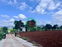 Bán Đất Nam Ban 502m² Thổ Cư 200m² – Sở Hữu View Toàn Cảnh Nam Ban, Đón Trọn Giá Trị Sống Ven Đà Lạt