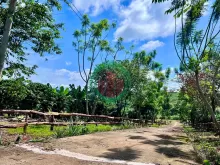 Bán Đất Nam Hà 1.000m² Hai Mặt Tiền – Có Sẵn Cà Phê Thu Hoạch, Không Gian Xanh Ven Đà Lạt