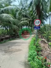 Bán đất nhà vườn chính chủ 563m² có 160m² thổ cư, đường ô tô tại xã Tân Phú, Tân Phú Đông