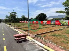Bán đất thổ cư sổ đỏ 105m2, mặt tiền 6m, đường 21A, Phú Cát, Quốc Oai, Hà Nội. Giá 4.5 tỷ. LH: 0382394677