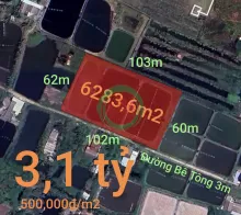 Bán gấp lô lúa chuyển thổ phân lô giá đầu tư 3,1 tỷ