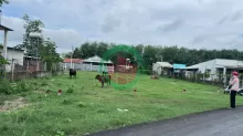 BÁN LÔ ĐẤT FULL THỔ CƯ GIÁ 1 TỶ 1 NGAY SÁT CHỢ TRUNG LẬP THƯỢNG - CỦ CHI.