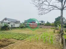 Bán nhanh 206m² (100m TC) – Suối Sếu – Nhuận Trạch Vị trí sau Cao đẳng Cộng Đồng, cực gần trung tâm dịch vụ.