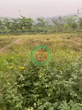 cc cầm bán lô đất trong SUDICO HÒA BÌNH