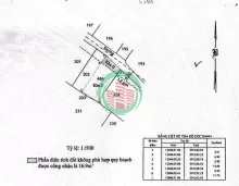 CHÍNH CHỦ Cần BÁN GẤP LÔ ĐẤT FULL THỔ CƯ Đường Lê Lợi, Xã Tân Thới Nhì - Hóc Môn, TP Hồ Chí Minh