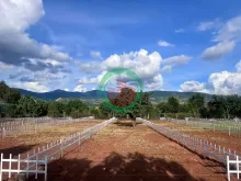 ĐẤT THỔ CƯ GẦN CHỢ THĂNG LONG – HẠ TẦNG HOÀN THIỆN – PHÙ HỢP XÂY NHÀ Ở LÂU DÀI