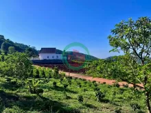 GIỮA ĐỒI XANH NAM BAN – QUỸ ĐẤT 5.900M² MẶT TIỀN 59M DÀNH CHO NHỮNG DỰ ĐỊNH DÀI HẠN