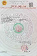 Ra hàng F0 đất biển Hải Xuân, Thịnh Long, Nhà thờ đổ, nam định, ninh bình