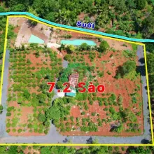 7,2 Sào Gần Nguyễn Thị Định Cách Ngã 6 Khoảng 7,5Km Sẵn Vườn Ao Và Nhà Chỉ 5Tỷ Quỳnh Anh