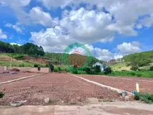 Cần Bán Đất 542m² Có 200m² Thổ Cư Giữa Đồi Thông, Lý Tưởng Xây Nhà Vườn
