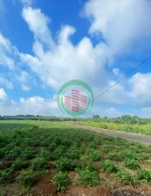 Đất đẹp Đông Hòa - Đường xe hơi, đầu tư sinh lời